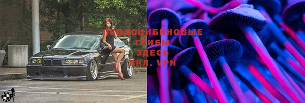 стаф Богородицк