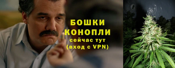 стаф Богородицк