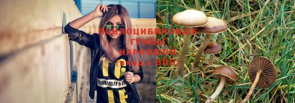 a pvp Богородск