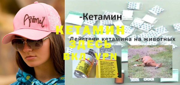 стаф Богородицк