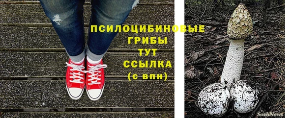 стаф Богородицк