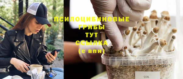 стаф Богородицк